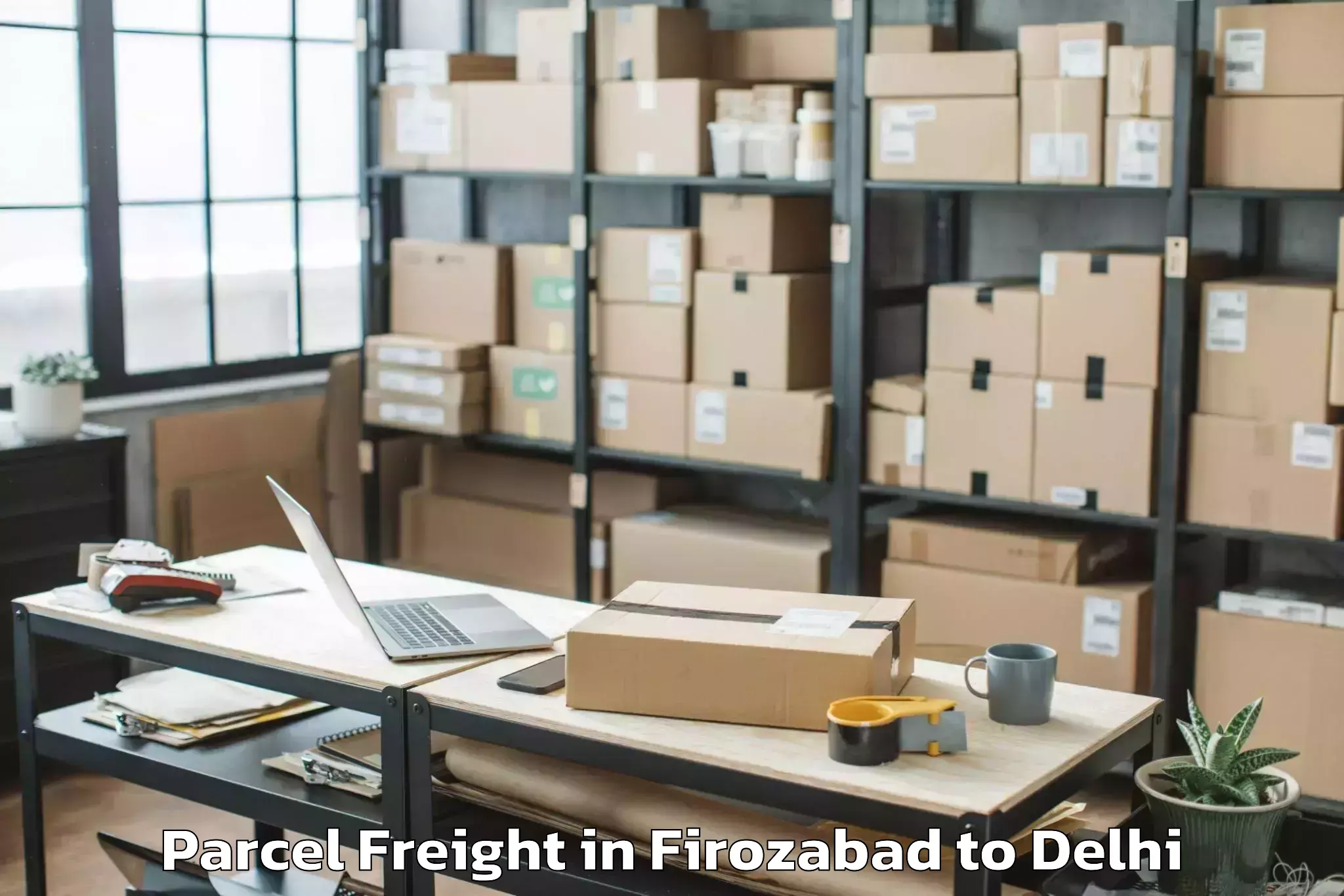 Professional Firozabad to Naraina Industrial Estate Parcel Freight